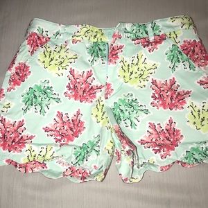 Crown and Ivy Junior shorts